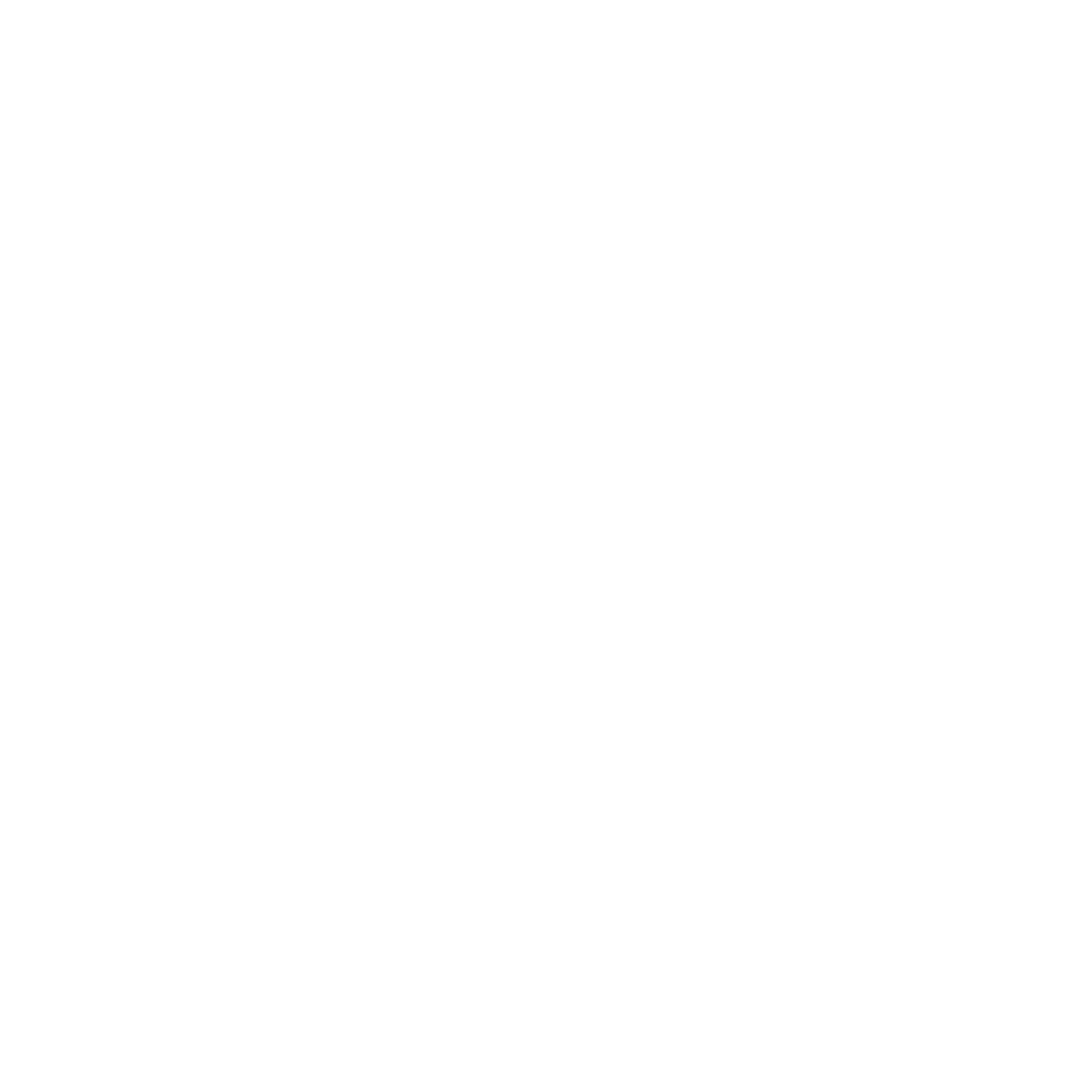 Bliss School Transport